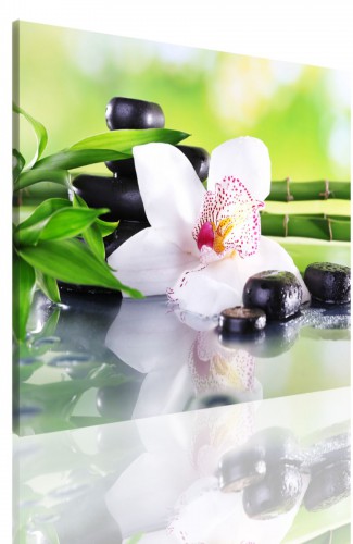 Obrazy jednoczęściowe- Kwiaty, orchidea 523 Naklejkomania - zdjecie 1