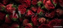 Roses with drops of water Naklejkomania - zdjecie 1 - miniatura
