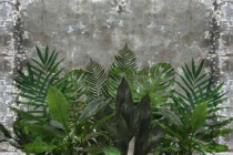 Fototapety na ścianę monstera beton 10783 Naklejkomania - zdjecie 2 - miniatura