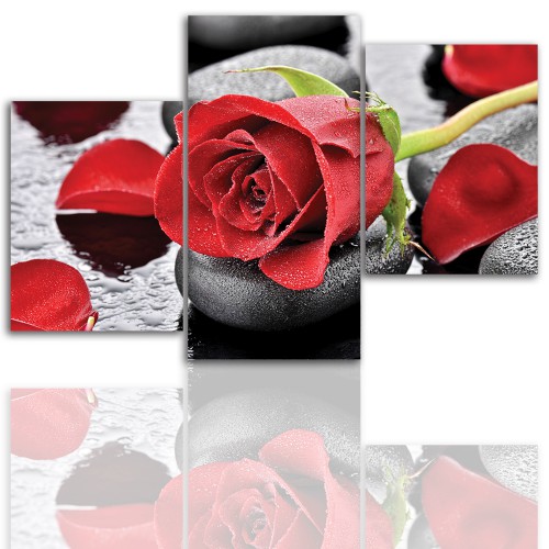 Tryptyk do salonu - Kwiaty, róże, kamienie 12017 Naklejkomania - zdjecie 1
