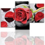 Tryptyk do salonu - Kwiaty, róże, kamienie 12017 Naklejkomania - zdjecie 1 - miniatura