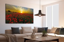 Obraz na ramie płótno canvas- obraz kwiaty łąka, zachód słońca 15060 Naklejkomania - zdjecie 2 - miniatura