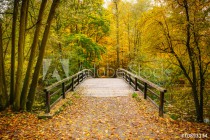 Bridge in autumn forest Naklejkomania - zdjecie 1 - miniatura