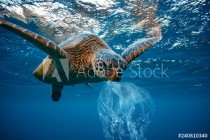 Water Environmental Pollution Plastic Problem Underwater animal Naklejkomania - zdjecie 1 - miniatura