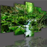 Obrazy 5 częściowe- Las, strumień, wodospad 515 Naklejkomania - zdjecie 2 - miniatura