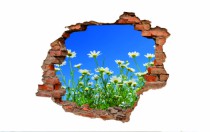 Naklejka na ścianę, dziura 3D  cegły łąka kwiaty niebo 3070 Naklejkomania - zdjecie 2 - miniatura
