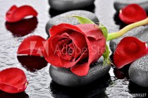 Czerwona róża na kamieniu bazaltowym Naklejkomania - zdjecie 1 - miniatura