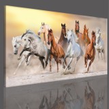 Obraz na ramie płótno canvas- pejzaż, konie, galop 15091 Naklejkomania - zdjecie 3 - miniatura