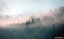 morning mist in mountain forest Naklejkomania - zdjecie 1 - miniatura