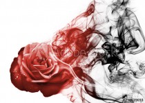 Smoke rose from Naklejkomania - zdjecie 1 - miniatura