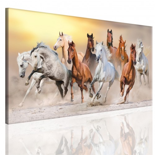 Obraz na ramie płótno canvas- pejzaż, konie, galop 15091
