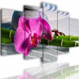 Obrazy 5 częściowe- Kwiat orchidea storczyk 520 Naklejkomania - zdjecie 1 - miniatura