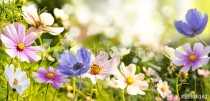 kwiaty Naklejkomania - zdjecie 1 - miniatura