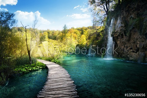 Waterfall in forest,  Plitvice, Croatia - zdjęcie 1