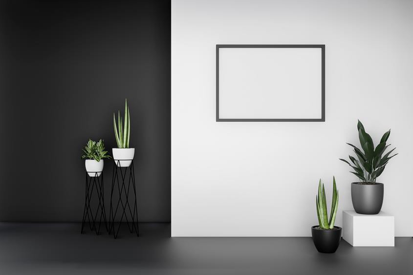 Black and white, czyli postaw na kontrasty