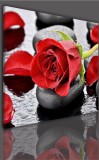 Obrazy jednoczęściowe- Kwiaty, róże 522 Naklejkomania - zdjecie 2 - miniatura