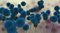 Maty magnetyczne okleiny na zmywarkę niebieskie kwiaty 227621028 Naklejkomania - zdjecie 2 - miniatura