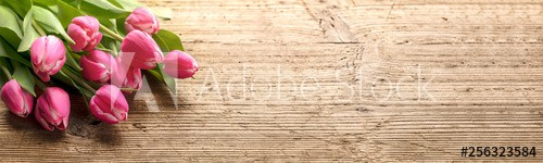 Bunch of tulip flower on wood background - zdjęcie 1