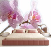 Fototapeta na ścianę tapeta na fizelinie do sypialni Rozkwitająca orchidea 10525 Naklejkomania - zdjecie 1 - miniatura