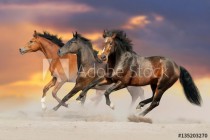 Three bay horse run gallop in desert dust Naklejkomania - zdjecie 1 - miniatura