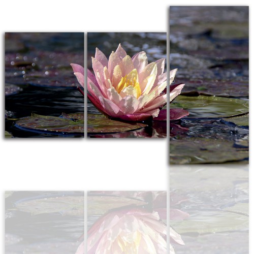 Tryptyk do salonu - Kwiaty, lotos, lilia 12130 Naklejkomania - zdjecie 1