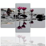 Tryptyk do salonu - Kwiaty, lotos, lilia 12042 Naklejkomania - zdjecie 1 - miniatura