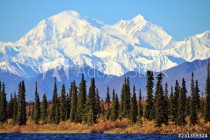 Denali in Alaska, is the highest mountain peak in North America. Naklejkomania - zdjecie 1 - miniatura