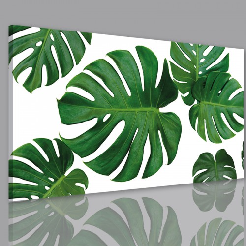 Obraz na ścianę do sypialni salonu monstera 41214 - zdjęcie 2