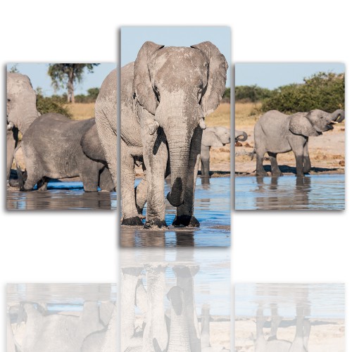 Tryptyk do salonu -  Pejzaż, Afryka, słonie 12048 Naklejkomania - zdjecie 1