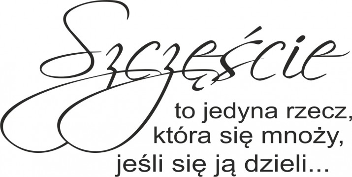 583 Nowoczesna naklejka na ścianę do salonu sypialni  Szczęście to jedyna rzecz - zdjęcie 2