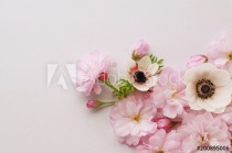 floral background of cherry and anemone flowers Naklejkomania - zdjecie 1 - miniatura