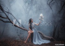 Mysterious sorceress in a beautiful blue dress. The background is a cold forest in the fog. Girl with a white owl. Artistic Photography Naklejkomania - zdjecie 1 - miniatura