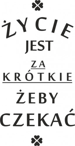 791 Napisy na ścianę naklejka dekoracyjna Życie jest za krótkie żeby czekać - zdjęcie 2