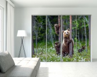 Naklejki okleiny na szafy 231979416 niedźwiedzie w lesie Naklejkomania - zdjecie 1 - miniatura