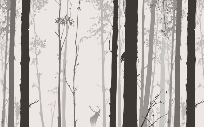 Fototapety Fotatapeta na ścianę ponury las 40356 - zdjęcie 2