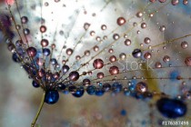 colorful drops Naklejkomania - zdjecie 1 - miniatura