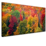Obraz na ścianę do sypialni salonu jesień w lesie  41316 Naklejkomania - zdjecie 1 - miniatura