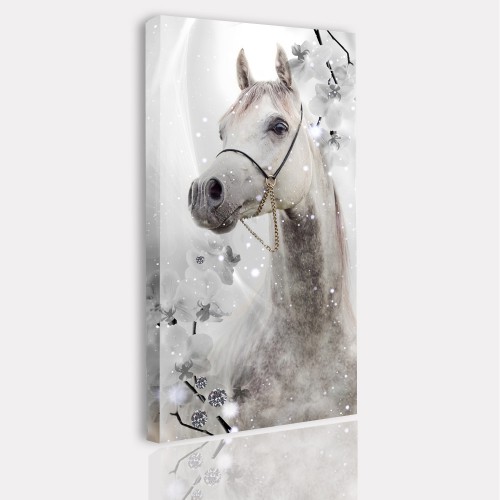 Obraz na ramie płótno canvas- Koń 12371 - zdjęcie 2