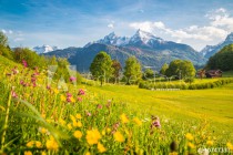 Idyllic mountain scenery in the Alps with blooming meadows in springtime Naklejkomania - zdjecie 1 - miniatura