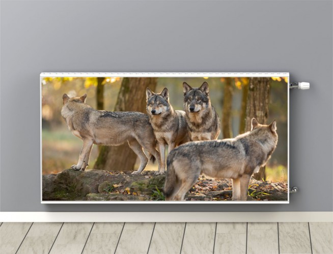 Maskownica mata magnetyczna na grzejnik kaloryfer 232616942 wilki - zdjęcie 1