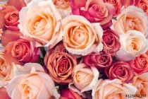 Roses as a background Naklejkomania - zdjecie 1 - miniatura