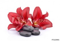 Kamienie bazaltowe z czerwonymi liliami Naklejkomania - zdjecie 1 - miniatura