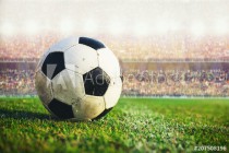 soccer ball in the stadium Naklejkomania - zdjecie 1 - miniatura
