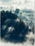 Plakat Las, promienie słońca we mgle 61061 Naklejkomania - zdjecie 2 - miniatura