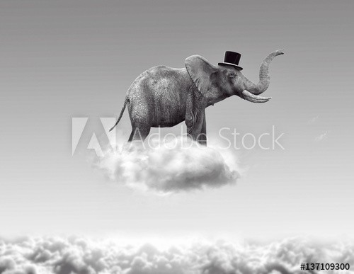 Elephant flying in the clouds