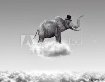 Elephant flying in the clouds Naklejkomania - zdjecie 1 - miniatura