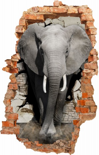 Naklejka ścienna , dziura 3D  słoń 3642 - zdjęcie 2