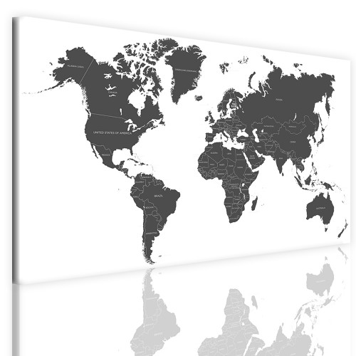 Obrazy ścienne jednoczęściowy z mapą świata 41100