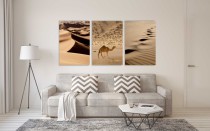 Obrazy na ścianę sypialni, salonu pustynia, wielbłąd 20273 Naklejkomania - zdjecie 2 - miniatura