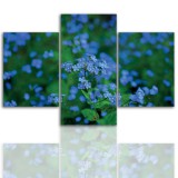 Tryptyk do salonu - Kwiaty, roślina 12073 Naklejkomania - zdjecie 1 - miniatura